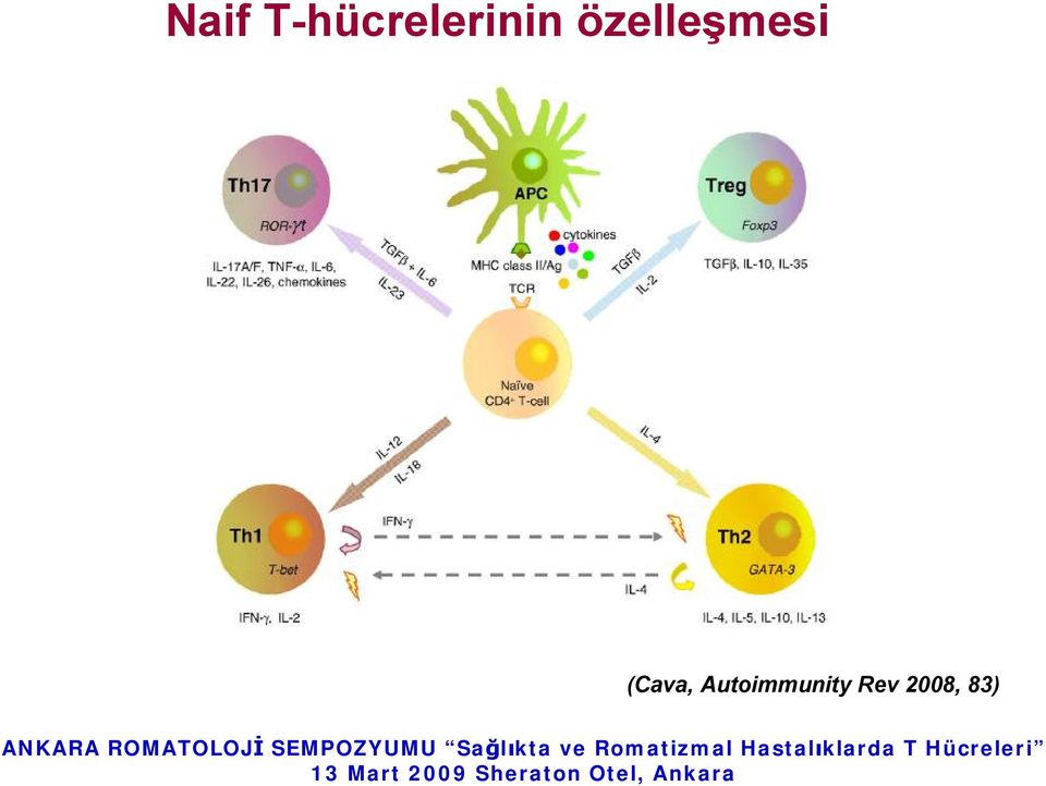 özelleşmesi