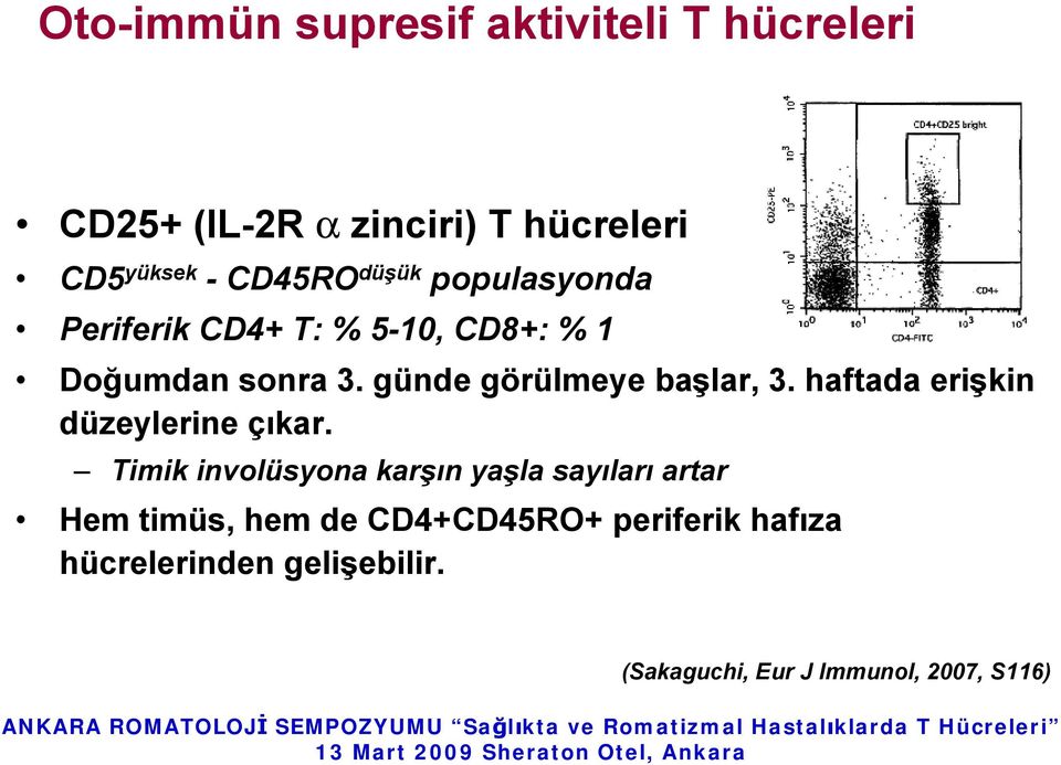 günde görülmeye başlar, 3. haftada erişkin düzeylerine çıkar.