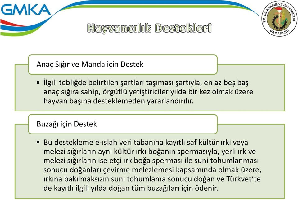 Buzağı için Destek Bu destekleme e-ıslah veri tabanına kayıtlı saf kültür ırkı veya melezi sığırların aynı kültür ırkı boğanın spermasıyla, yerli ırk ve