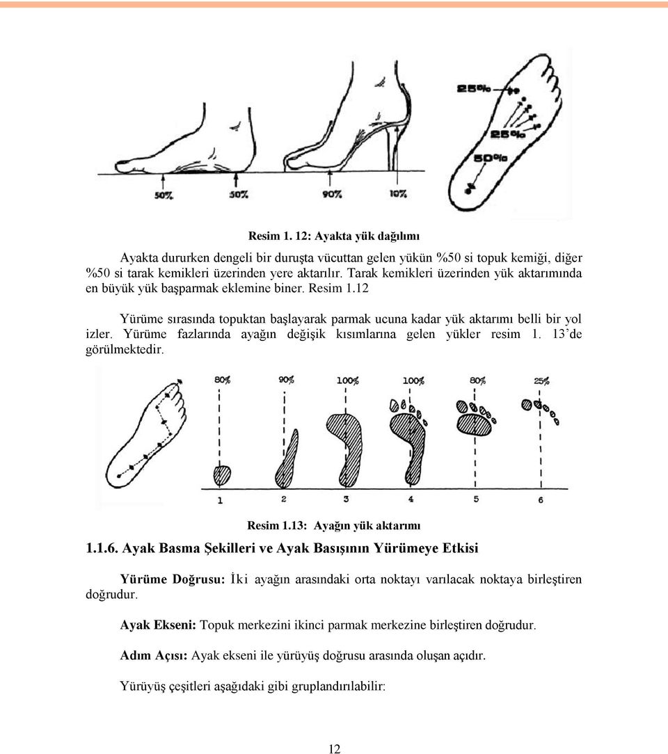 Yürüme fazlarında ayağın değişik kısımlarına gelen yükler resim 1. 13 de görülmektedir. Resim 1.13: Ayağın yük aktarımı 1.1.6.