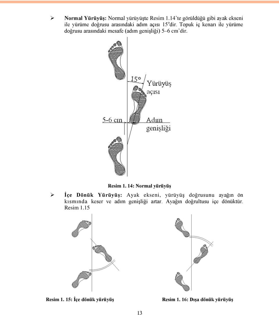 Topuk iç kenarı ile yürüme doğrusu arasındaki mesafe (adım genişliği) 5 6 cm dir. Resim 1.