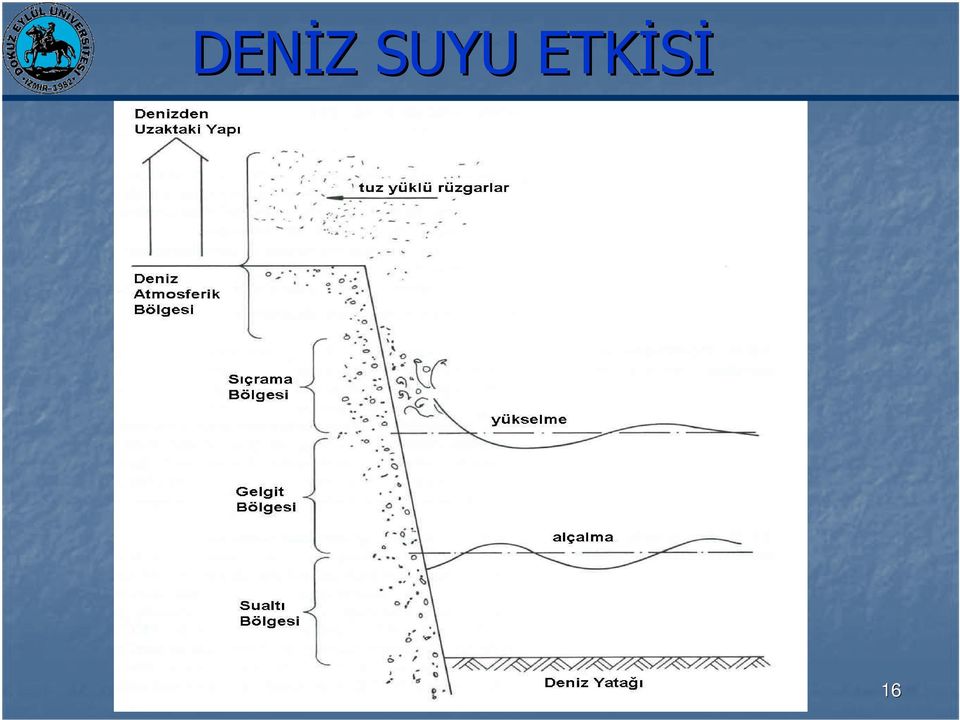 ETKĐSĐ 16