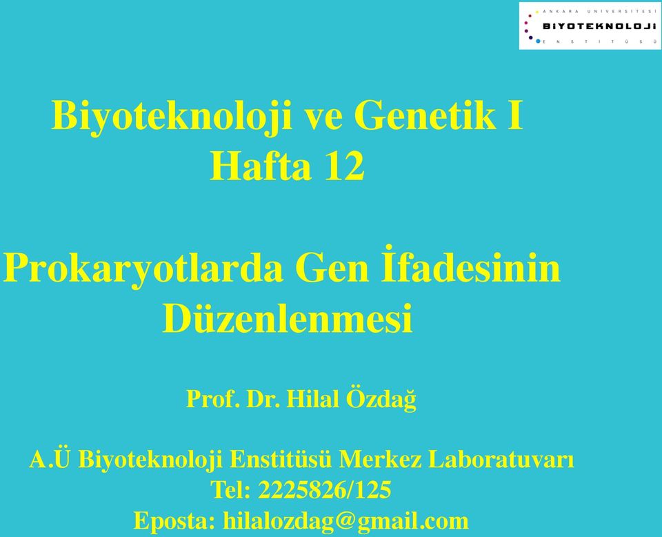 Dr. Hilal Özdağ A.