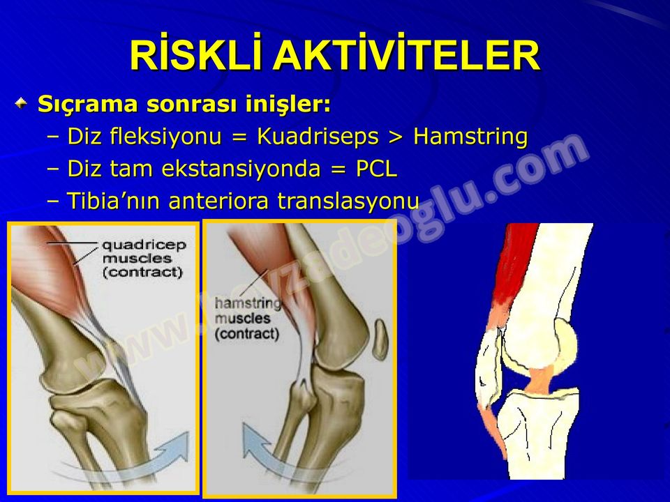 Kuadriseps > Hamstring Diz tam