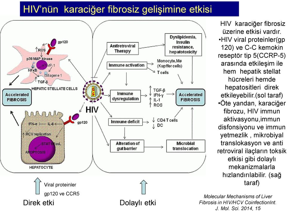 etkileyebilir.