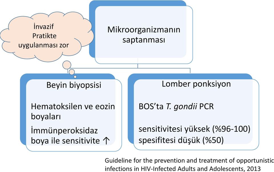 gondii PCR sensitivitesi yüksek (%96-100) spesifitesi düşük (%50) Guideline for the