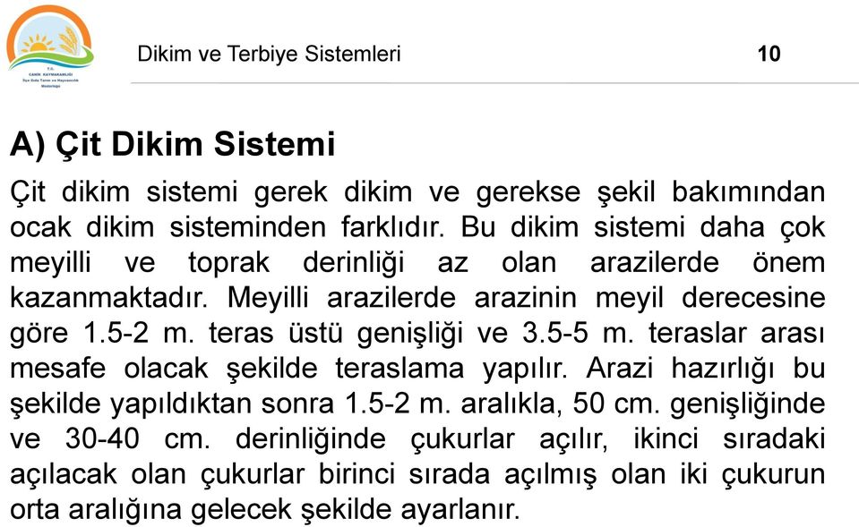 teras üstü genişliği ve 3.5-5 m. teraslar arası mesafe olacak şekilde teraslama yapılır. Arazi hazırlığı bu şekilde yapıldıktan sonra 1.5-2 m.