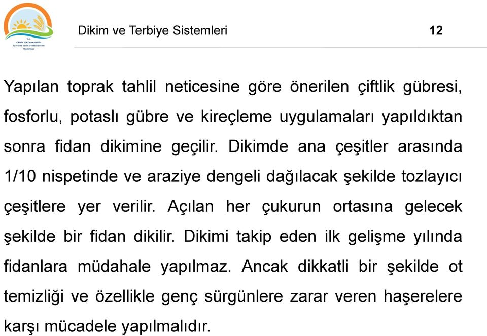 Dikimde ana çeşitler arasında 1/10 nispetinde ve araziye dengeli dağılacak şekilde tozlayıcı çeşitlere yer verilir.