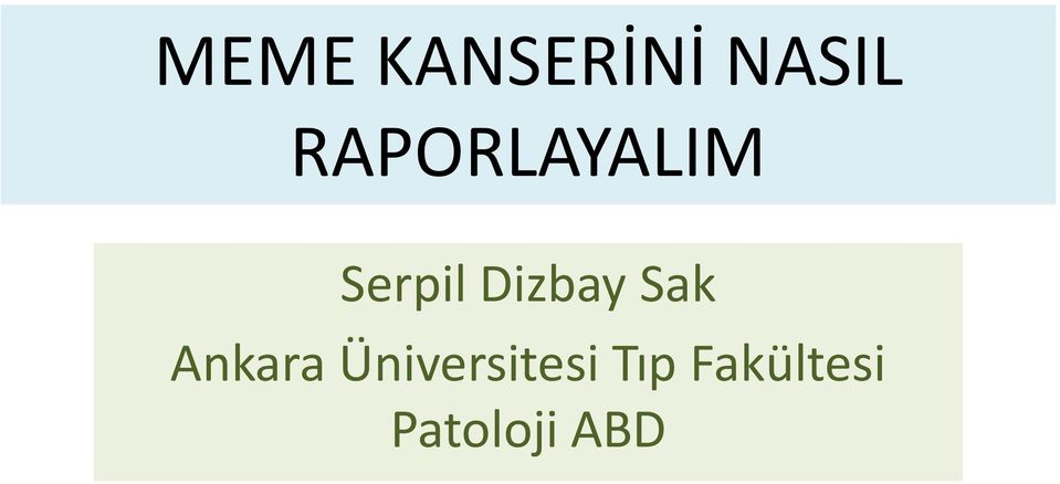 Dizbay Sak Ankara