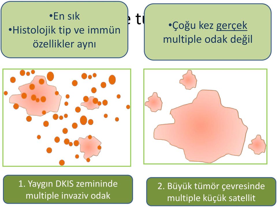 değil 1.