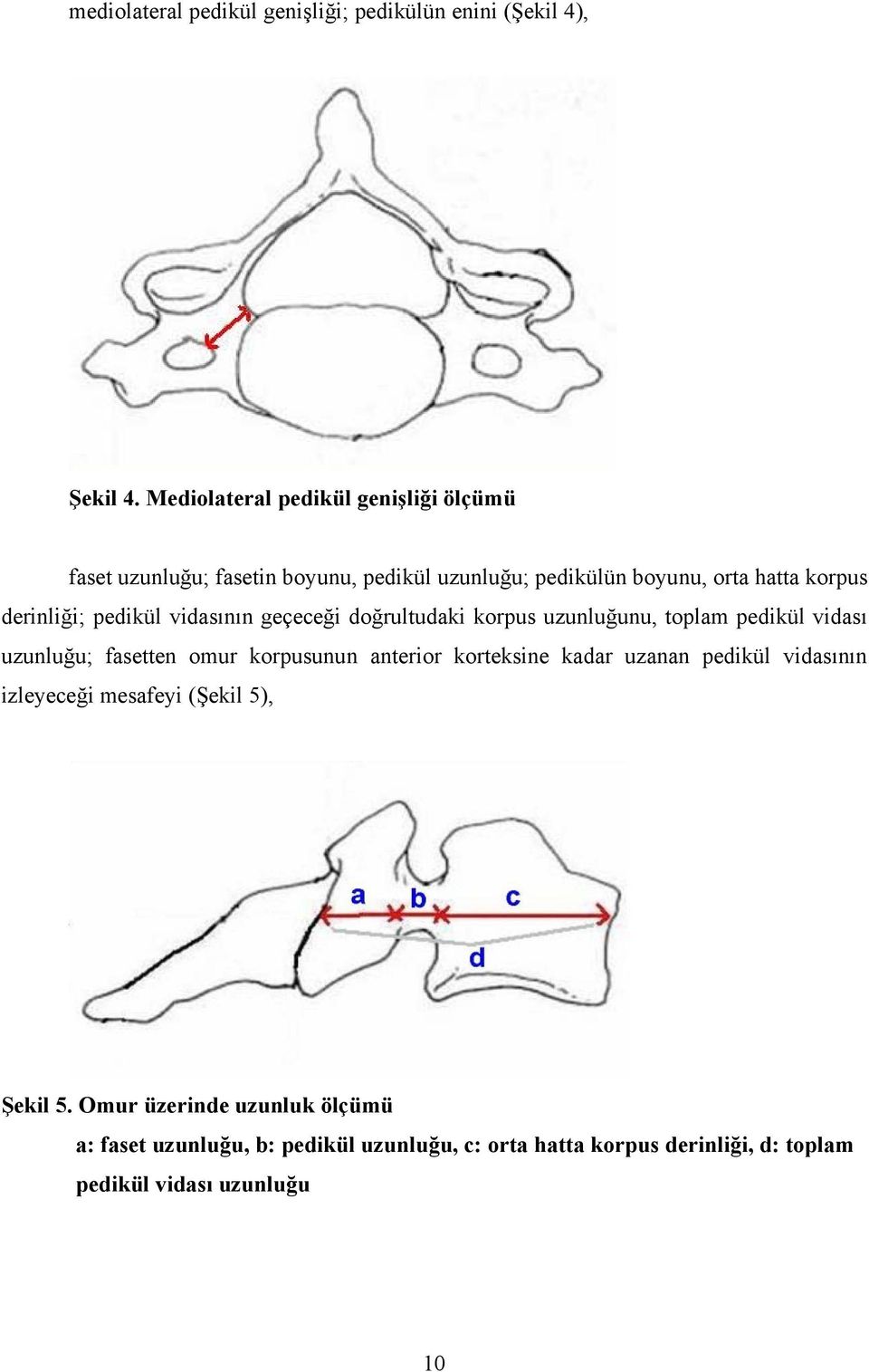pedikül vidasının geçeceği doğrultudaki korpus uzunluğunu, toplam pedikül vidası uzunluğu; fasetten omur korpusunun anterior korteksine