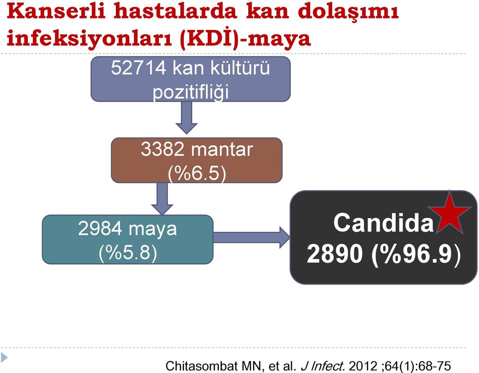 mantar (%6.5) 2984 maya (%5.8) Candida 2890 (%96.