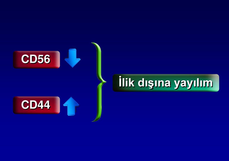 yayılım