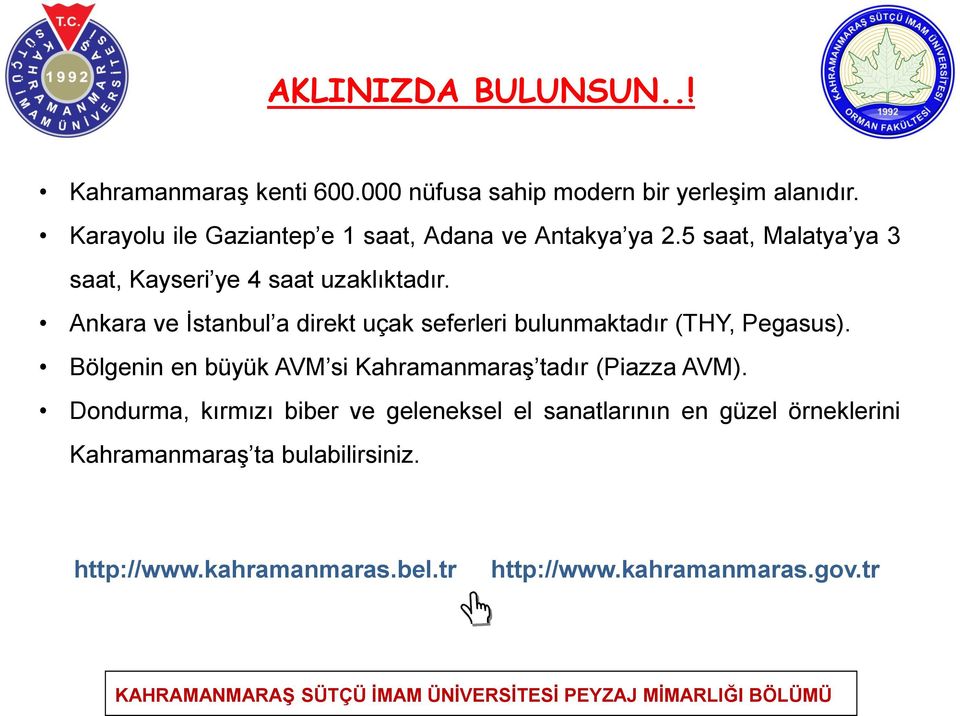 Ankara ve İstanbul a direkt uçak seferleri bulunmaktadır (THY, Pegasus).