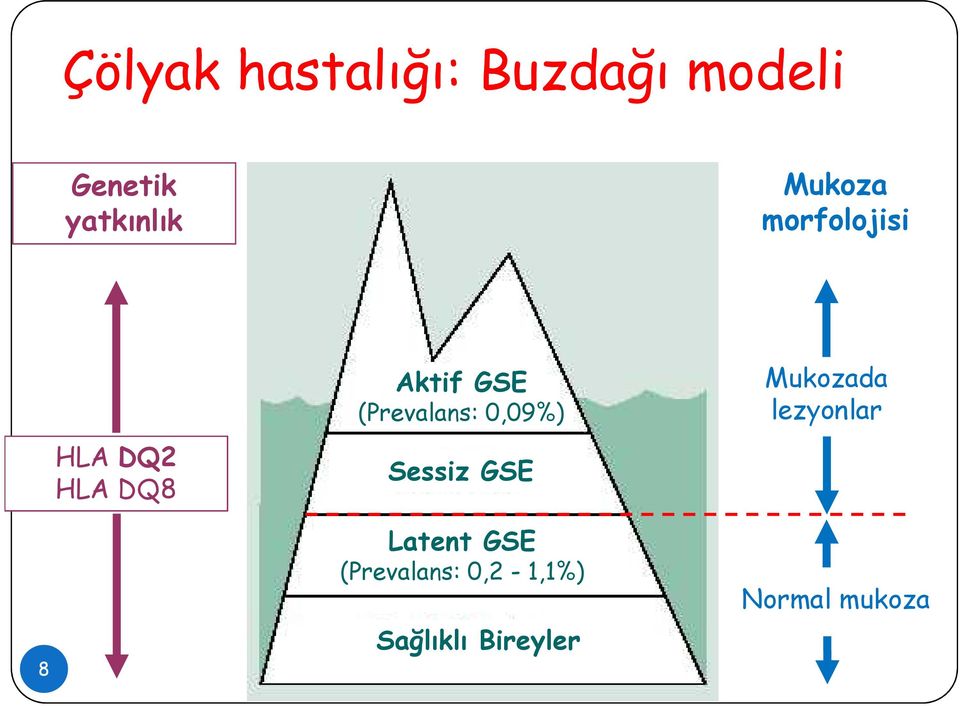 (Prevalans: 0,09%) Sessiz GSE Mukozada lezyonlar 8