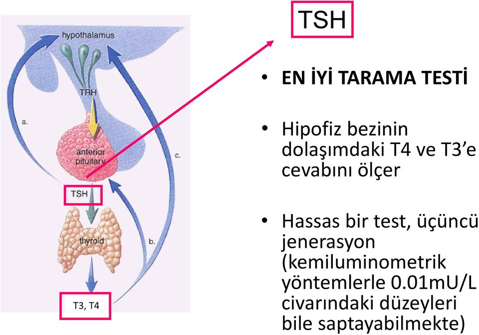 Hassas bir test, üçüncü jenerasyon