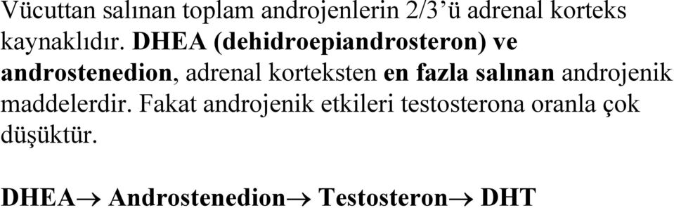 DHEA (dehidroepiandrosteron) ve androstenedion, adrenal korteksten
