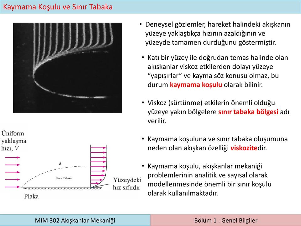 bilinir. Viskoz (sürtünme) etkilerin önemli olduğu yüzeye yakın bölgelere sınır tabaka bölgesi adı verilir.