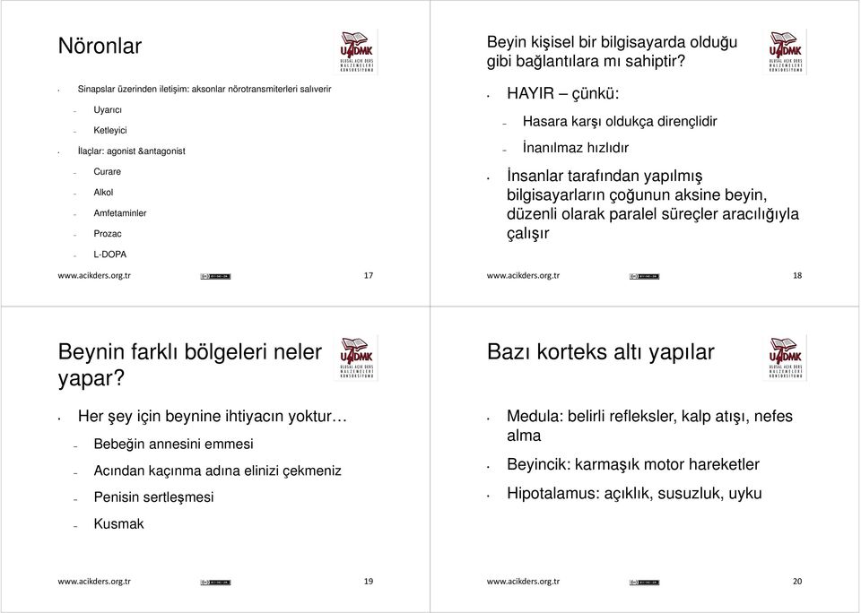 HAYIR çünkü: Hasara karşı oldukça dirençlidir İnanılmaz hızlıdır İnsanlar tarafından yapılmış bilgisayarların çoğunun aksine beyin, düzenli olarak paralel süreçler aracılığıyla çalışır