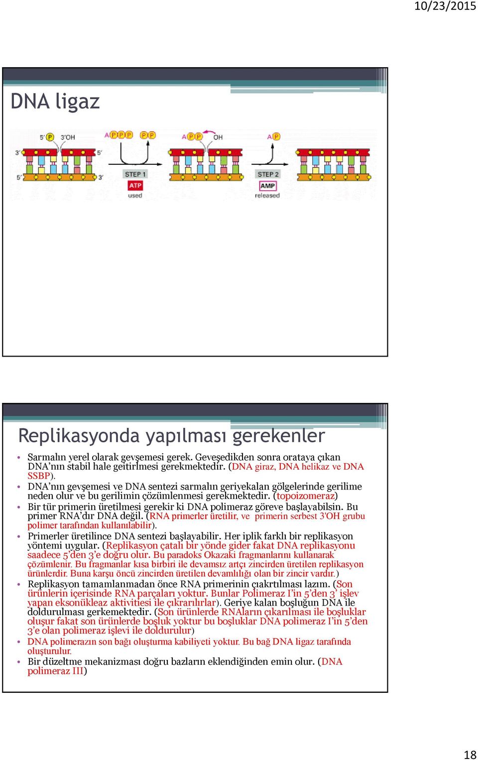 (topoizomeraz) Bir tür primerin üretilmesi gerekir ki DNA polimeraz göreve başlayabilsin. Bu primer RNA dır DNA değil.