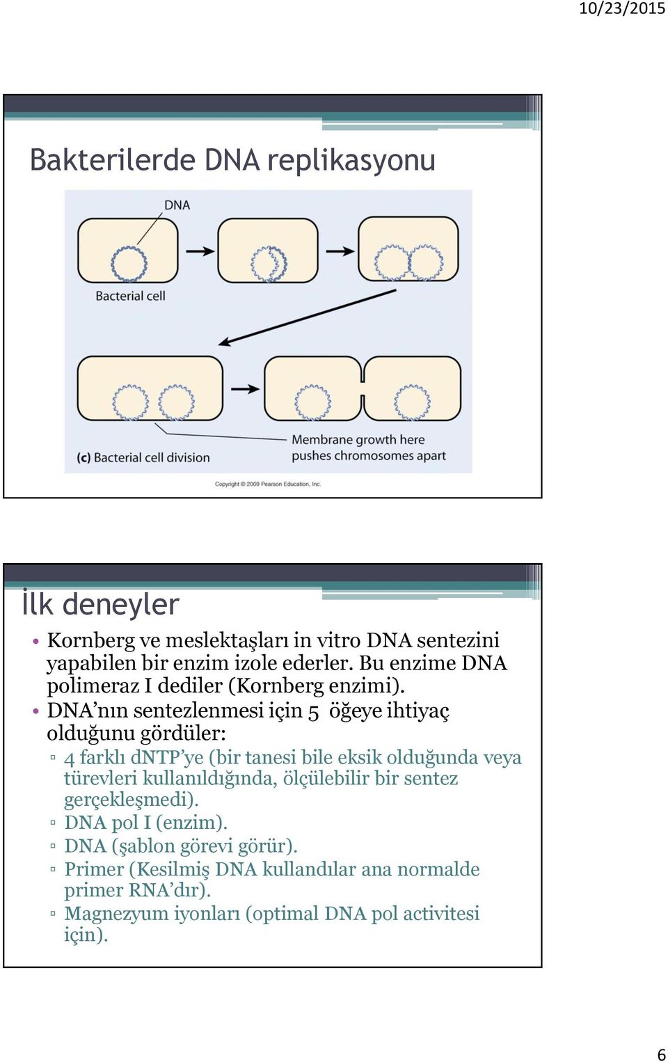 DNA nın sentezlenmesi için 5 öğeye ihtiyaç olduğunu gördüler: 4 farklı dntp ye (bir tanesi bile eksik olduğunda veya türevleri