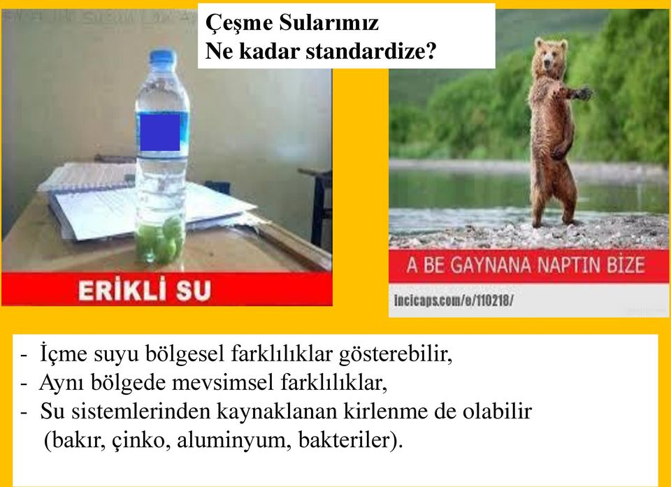 Aynı bölgede mevsimsel farklılıklar, - Su