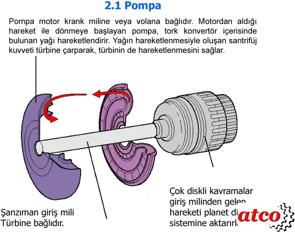 hareketlendirir.