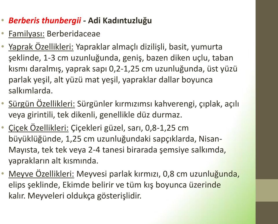 Sürgün Özellikleri: Sürgünler kırmızımsı kahverengi, çıplak, açılı veya girintili, tek dikenli, genellikle düz durmaz.