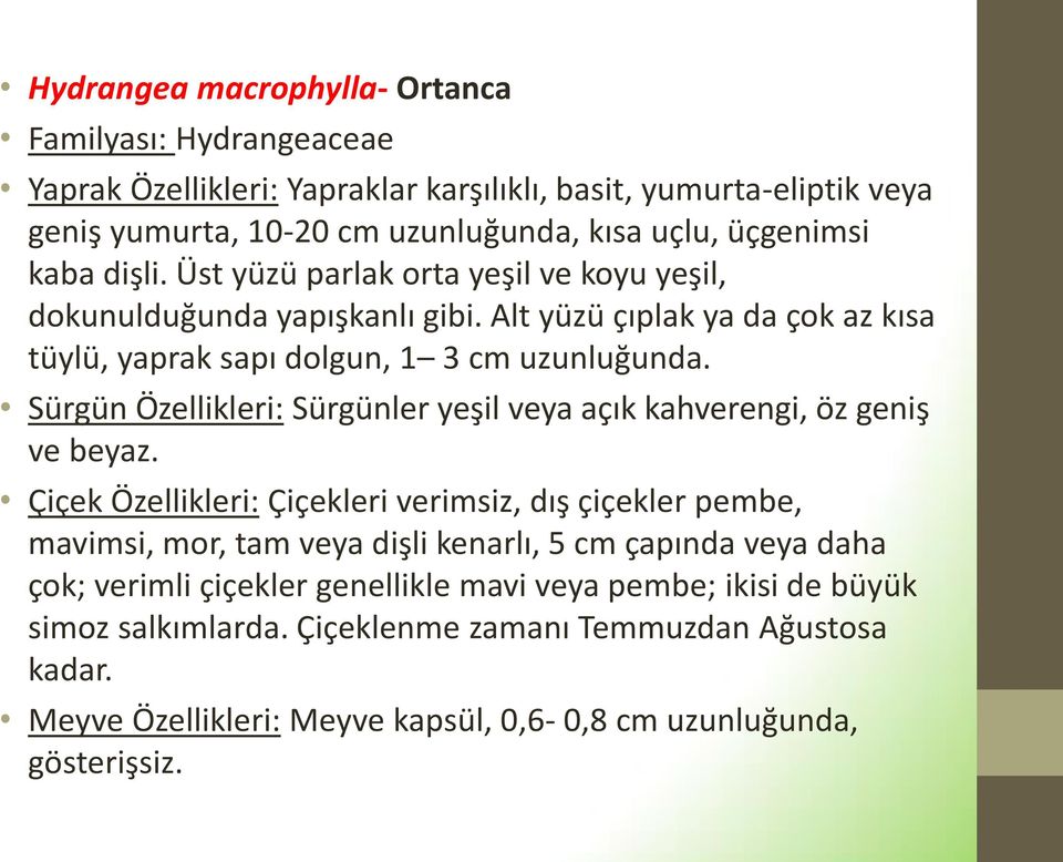 Sürgün Özellikleri: Sürgünler yeşil veya açık kahverengi, öz geniş ve beyaz.