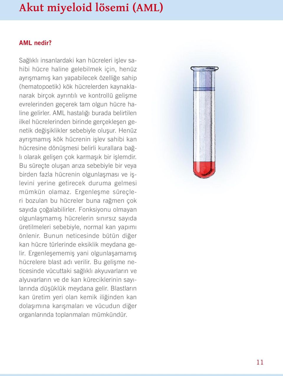 kontrollü gelişme evrelerinden geçerek tam olgun hücre haline gelirler. AML hastalığı burada belirtilen ilkel hücrelerinden birinde gerçekleşen genetik değişiklikler sebebiyle oluşur.