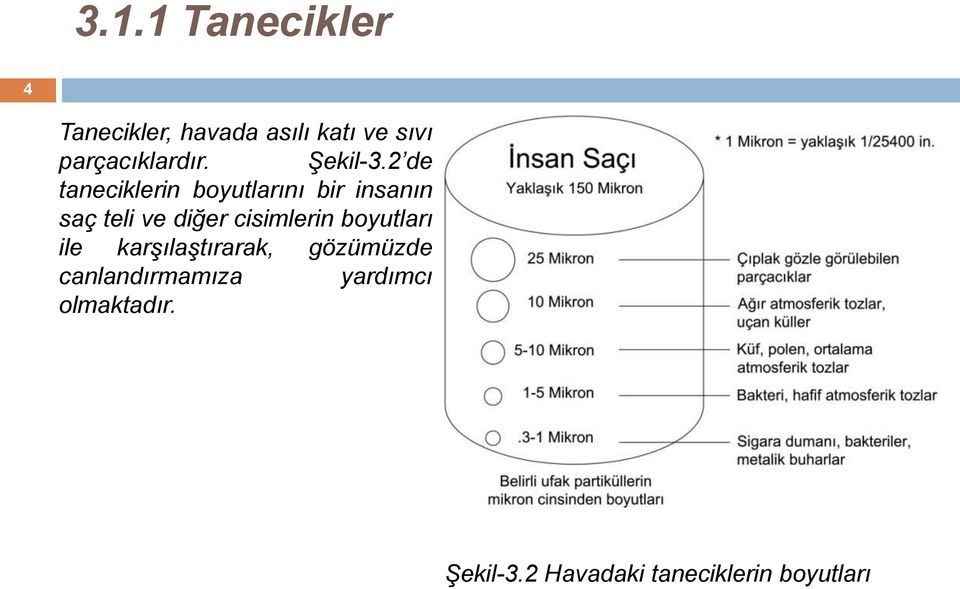 2 de taneciklerin boyutlarını bir insanın saç teli ve diğer