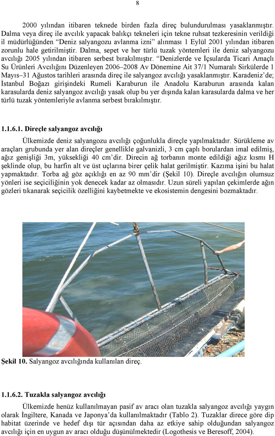 getirilmiştir. Dalma, sepet ve her türlü tuzak yöntemleri ile deniz salyangozu avcılığı 25 yılından itibaren serbest bırakılmıştır.