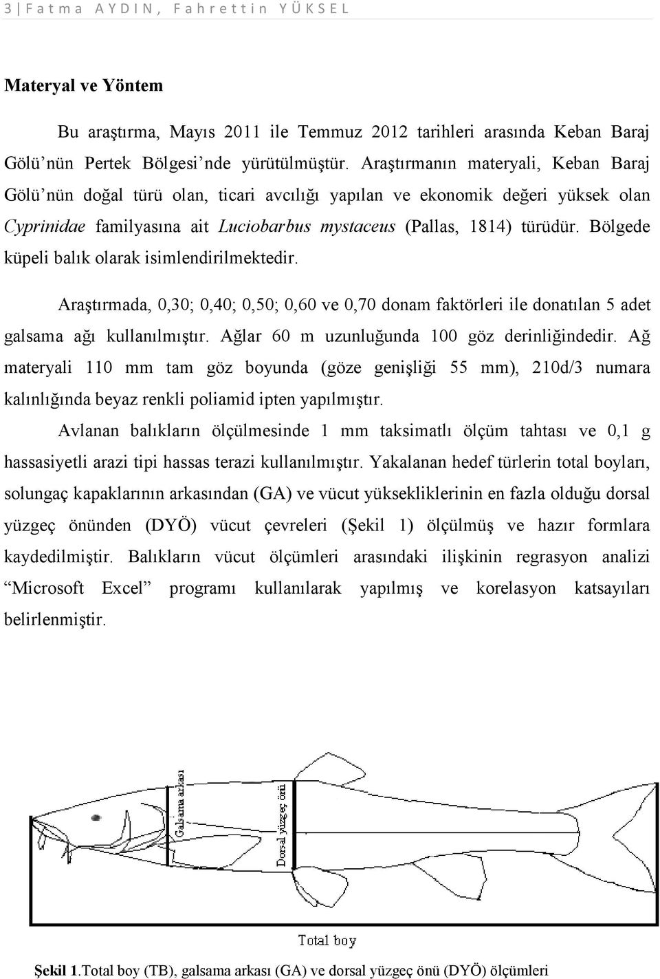 Bölgede küpeli balık olarak isimlendirilmektedir. Araştırmada, 0,30; 0,40; 0,50; 0,60 ve 0,70 donam faktörleri ile donatılan 5 adet galsama ağı kullanılmıştır.