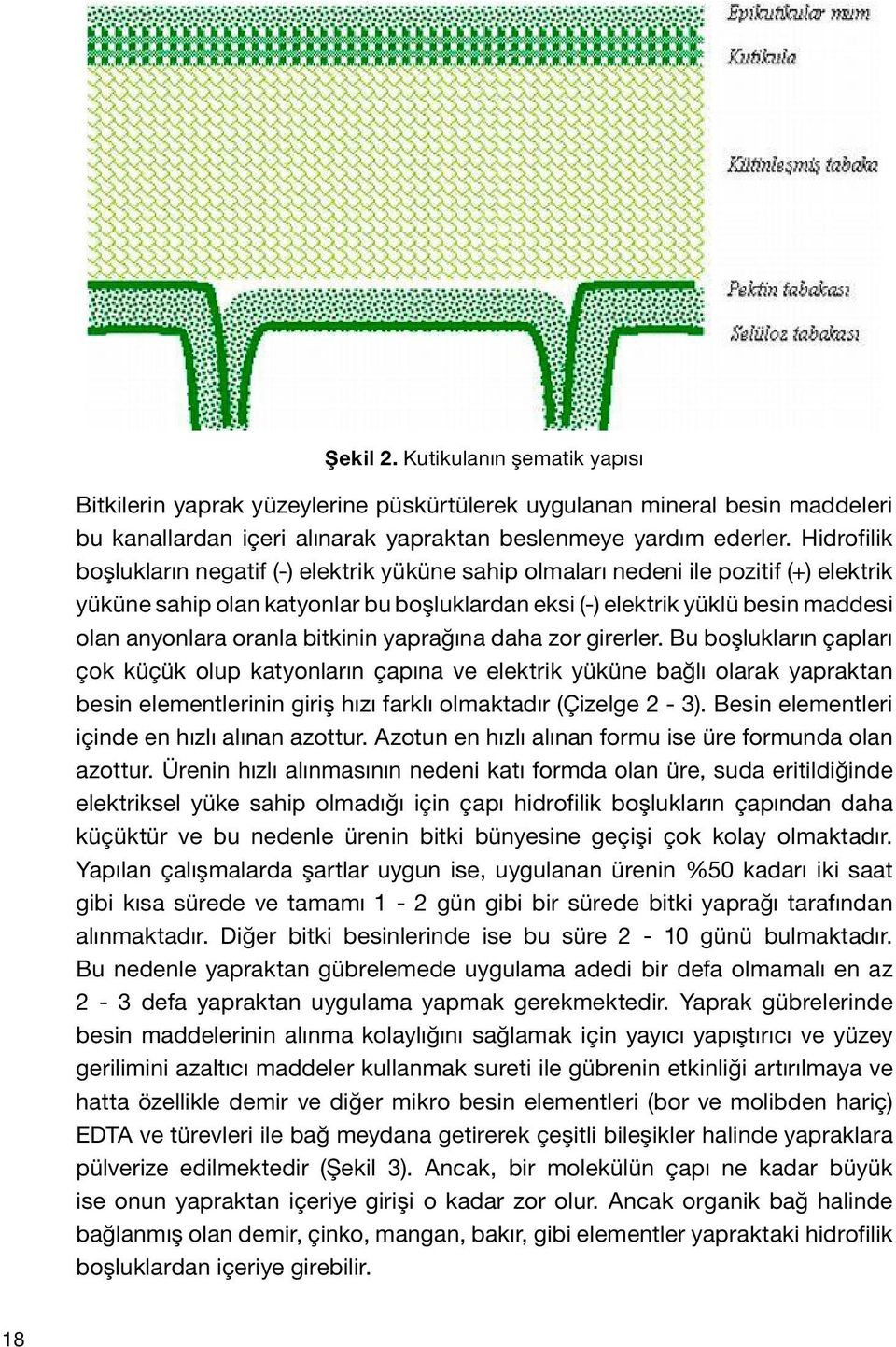 oranla bitkinin yaprağına daha zor girerler.