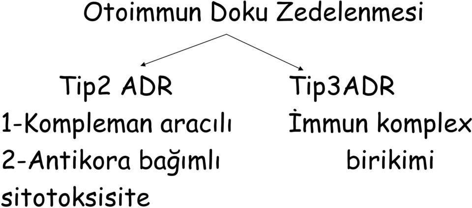 2-Antikora bağımlı