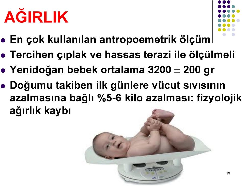 ortalama 3200 ± 200 gr Doğumu takiben ilk günlere vücut