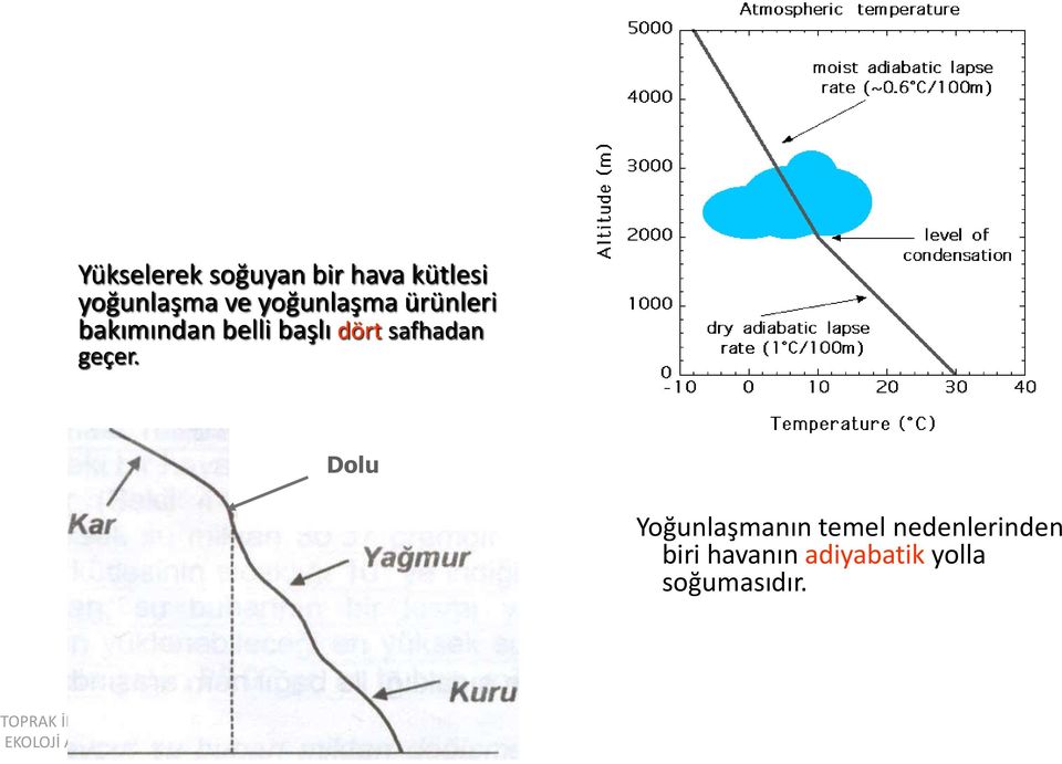 dört safhadan geçer.