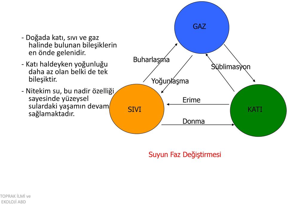 - Nitekim su, bu nadir özelliği sayesinde yüzeysel sulardaki yaşamın devamını