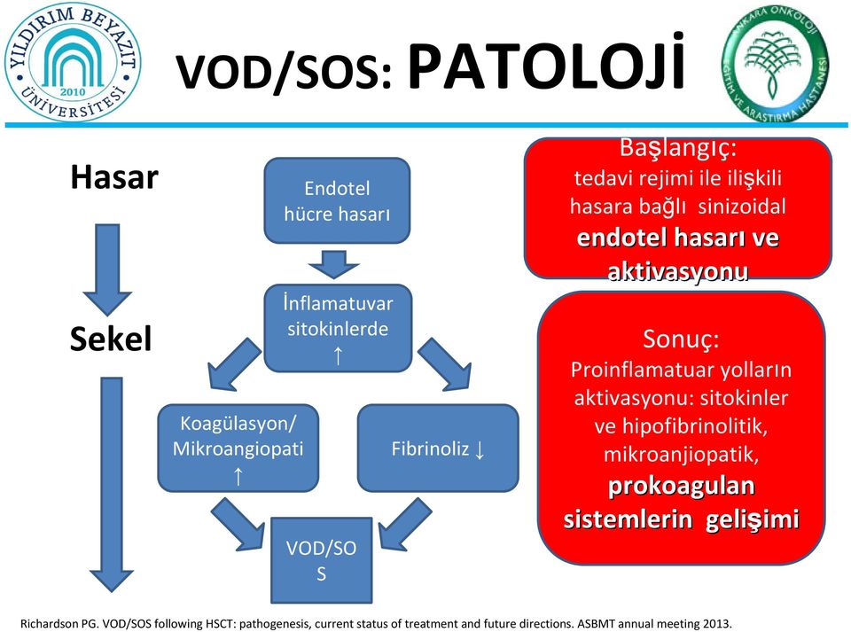 hasara bağlı sinizoidal endotel hasarı ve aktivasyonu Sonuç: Proinflamatuar yolların