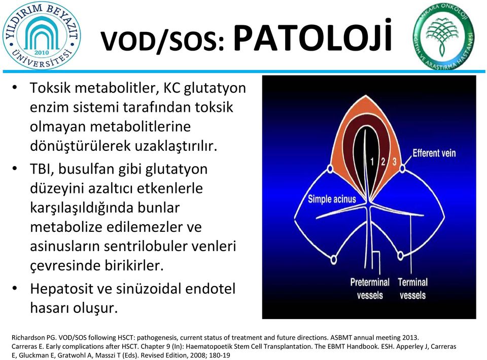 çevresinde birikirler. Hepatosit ve sinüzoidal endotel hasarı oluşur. Carreras E. Early complications after HSCT.