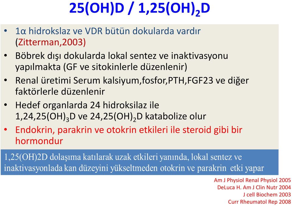 düzenlenir Hedef organlarda 24 hidroksilaz ile 1,24,25(OH) 3 D ve 24,25(OH) 2 D katabolize olur Endokrin, parakrin ve otokrin