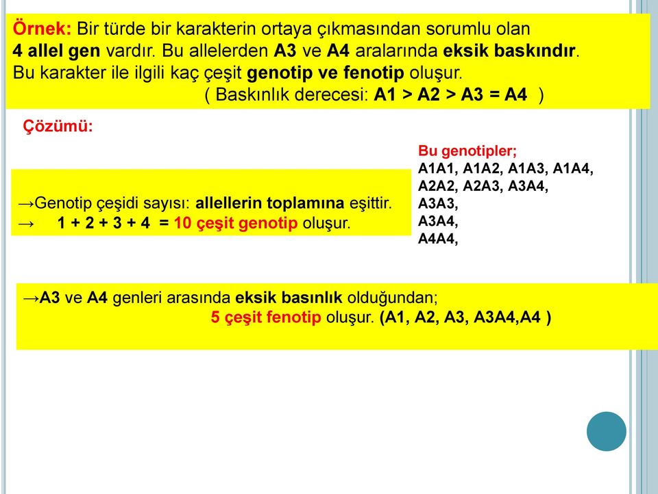 ( Baskınlık derecesi: A1 > A2 > A3 = A4 ) Çözümü: Genotip çeşidi sayısı: allellerin toplamına eşittir.