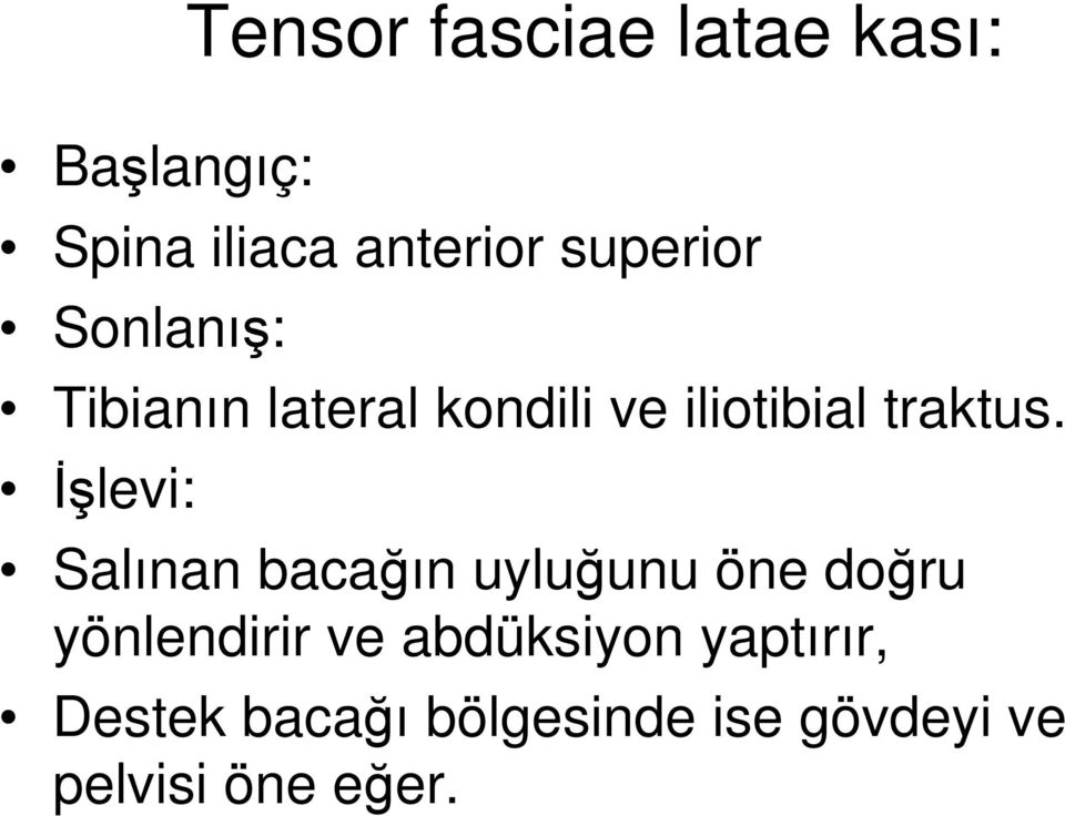 İşlevi: Salınan bacağın uyluğunu öne doğru yönlendirir ve