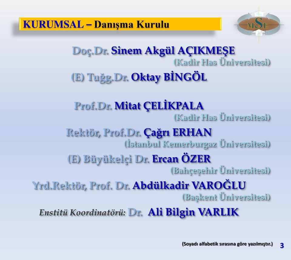 Ercan ÖZER (Bahçeşehir Üniversitesi) Yrd.Rektör, Prof. Dr.