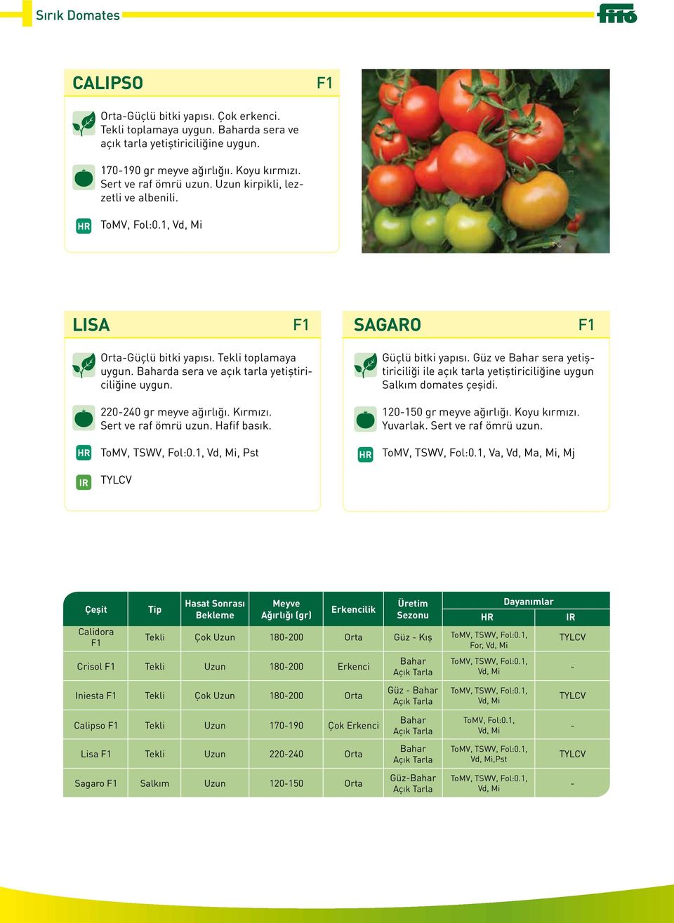 Güçlü bitki yapısı. Güz ve Bahar sera yetiştiriciliği ile açık tarla yetiştiriciliğine uygun Salkım domates çeşidi. 220-240 gr meyve ağırlığı. Kırmızı. Sert ve raf ömrü uzun. Hafif basık.