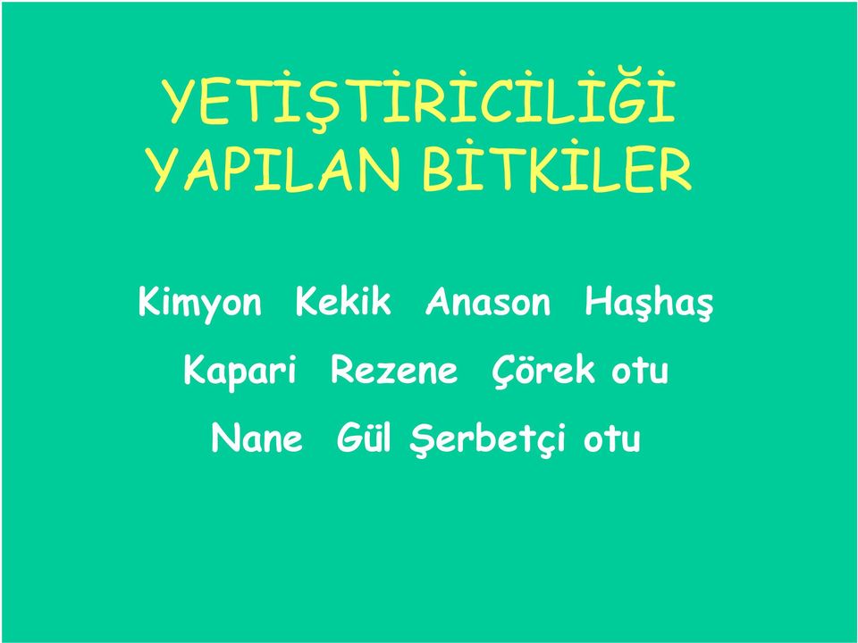 Anason Haşhaş Kapari