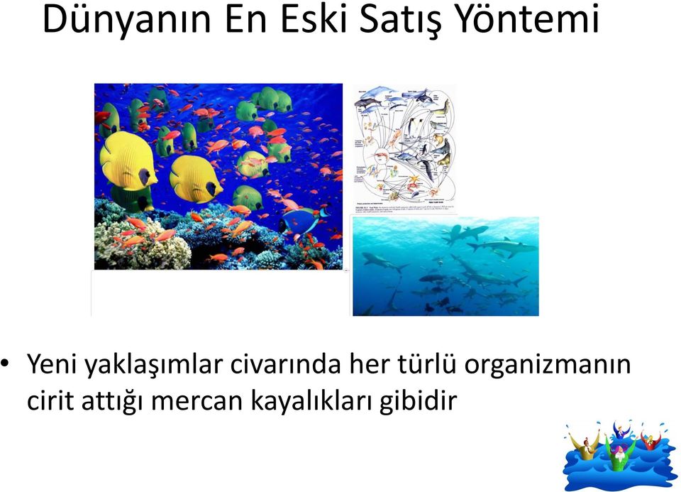 civarında her türlü