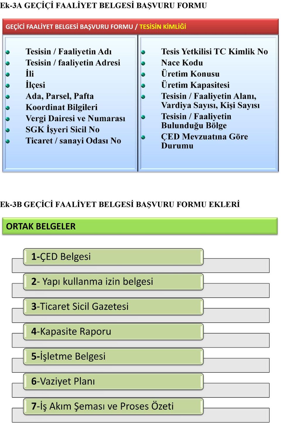 Ek-3B GEÇİCİ FAALİYET 