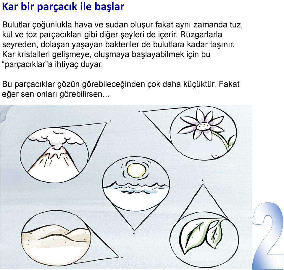 Rüzgarlarla seyreden, dolaşan yaşayan bakteriler de bulutlara kadar taşınır.