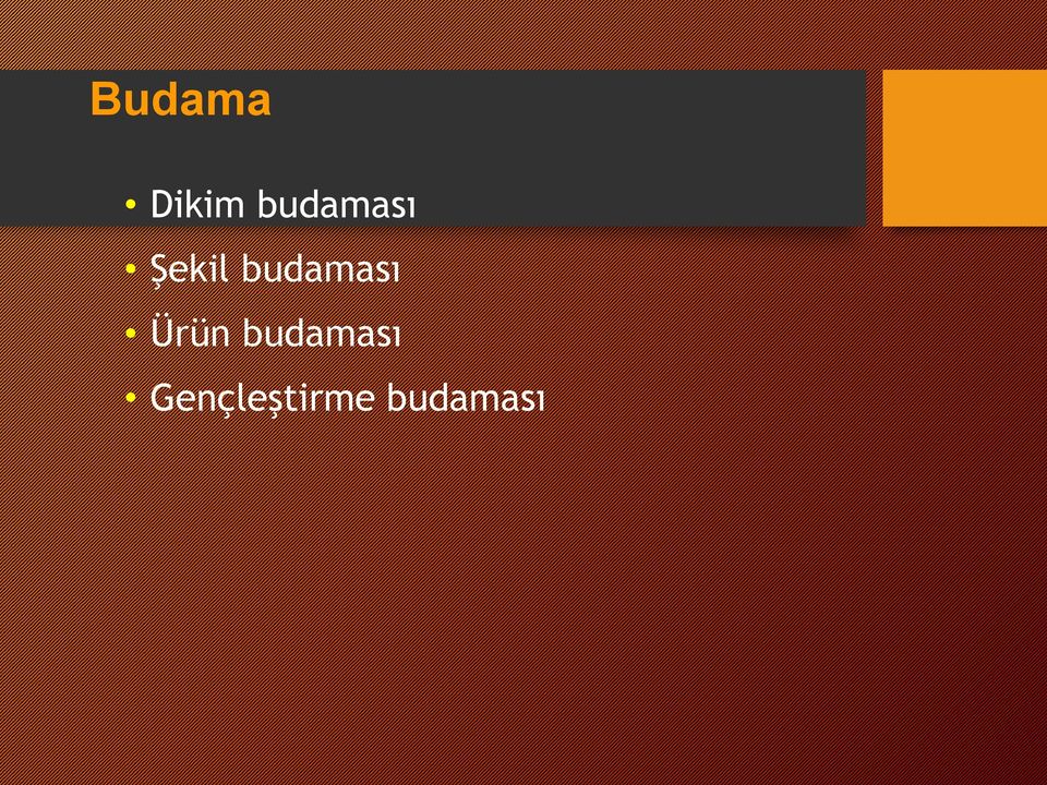 budaması Ürün